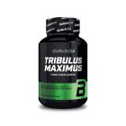 BIOTECH TRIBULUS MAXIMUS 90TAB